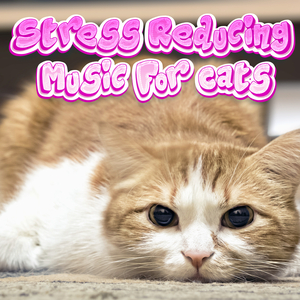 Calming Music for Pets