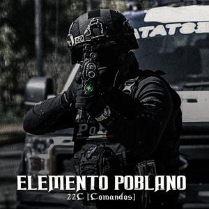 ELEMENTO POBLANO