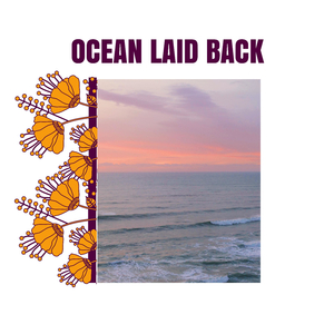 Ocean Laid Back