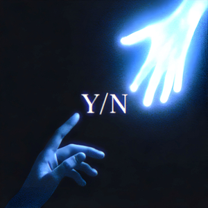 Y/N
