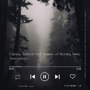 The Tale of An Early Bird - Airy Echoes of Awakening