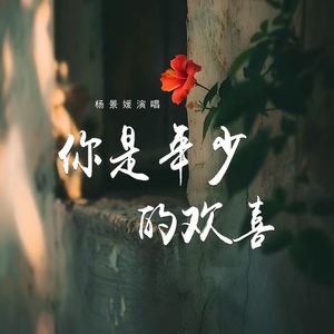 你是年少的欢喜