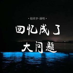 回忆成了大问题 (DJ版伴奏)