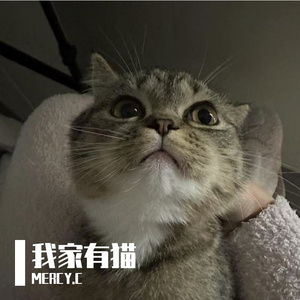 我家五猫闯天涯