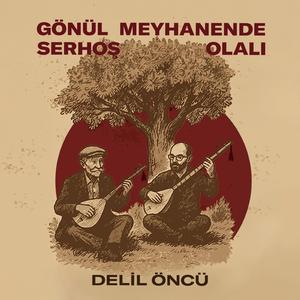 Gönül Meyhanende Serhoş Olalı