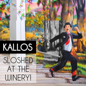 Sloshed At The Winery