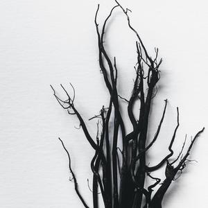 The Witches’ Dance