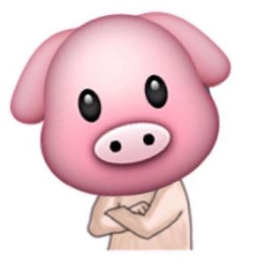 玩乐（翻自 MayRing）