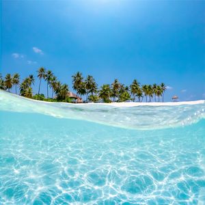 漂流梦幻旖旎岛（纯音乐）