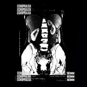 ECHOPRAXIA