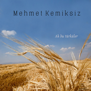 Sinem Bir Tutuşmuş