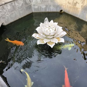 想和你虚度所有无聊的黄昏