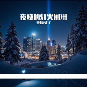 夜晚的灯火阑珊