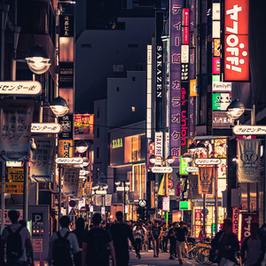 Little Flowers In Spring