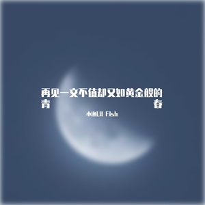 再见一文不值却又如黄金般的青春