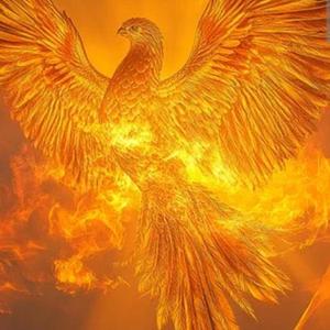 Phönix lebt