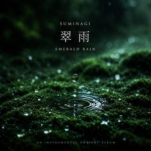 Echoes of Water（水の残響）