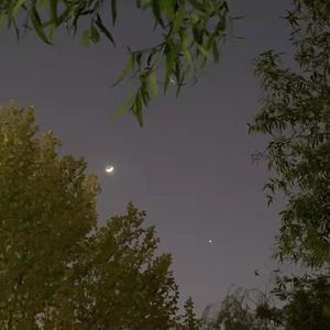 伊甸园苹果（Prod by.DA)