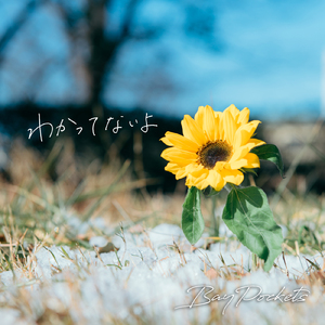 わかってないよ