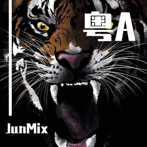 无忌+极速+天煞孤星+两位一体+灰色+倾心+Amani+顺流逆流+夕阳之歌+忘情冷雨夜+你瞒我瞒