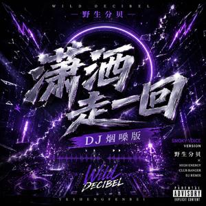 潇洒走一回(DJ烟嗓版)