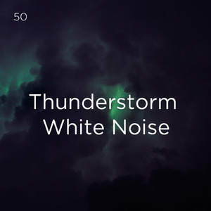 호우 잠