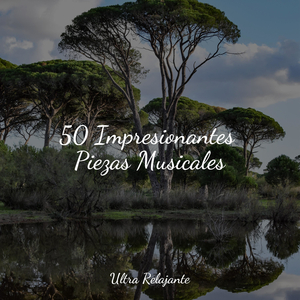 Vivir en el Presente