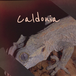 TheTreniers LoverComeBackToMe