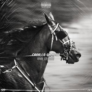 CABALLO GANADOR
