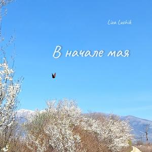 В начале мая