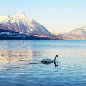 （你看见大雨了么）-大雨