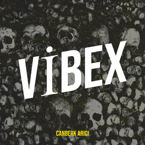 Vi̇bex