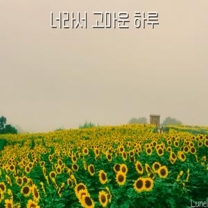 너라서 고마운 하루