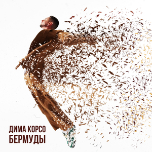 Бермуды
