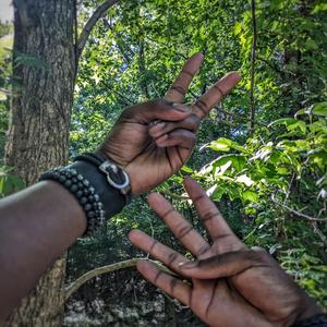 Why Do Aliens Like Cows