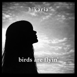 birds are flyin'