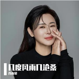 几度风雨几沧桑（DJ版）