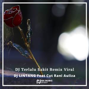 DJ Terlalu Sakit Remix Viral