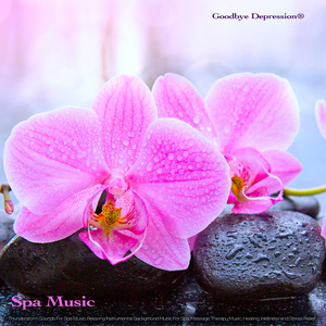 Background Music For Relaxation