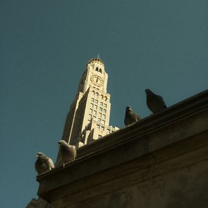 88spirit【FREE】assassin