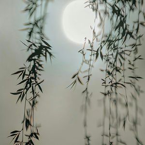 [FREE]Geand「emo gunna 古风 中国风 sasi」