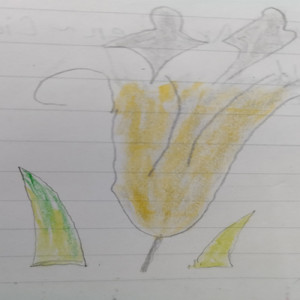 オリジナル (Instrumental)