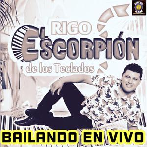 Vikini Y Brasier