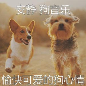 一尘不染可爱的狗印象数