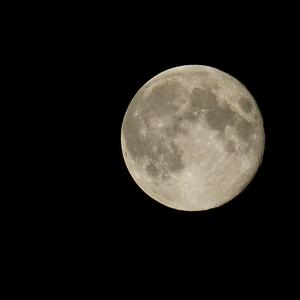 He Said She's All Alone