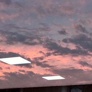 离开这一天 伴奏