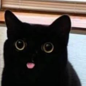 Until We're Skin & Bones (slowed)