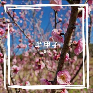 平凡的爱（改词后最中性的曲唱版）