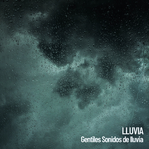 Salpicaduras de lluvia suave