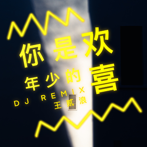 王贰浪-你是年少时的喜欢（DJ版）